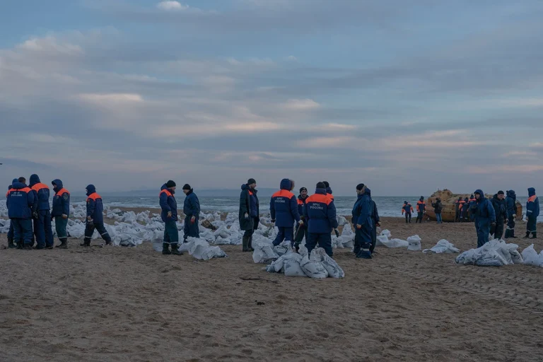 plyazhi staniczy blagoveshhenskaya ubirayut silami volonterov i mchs