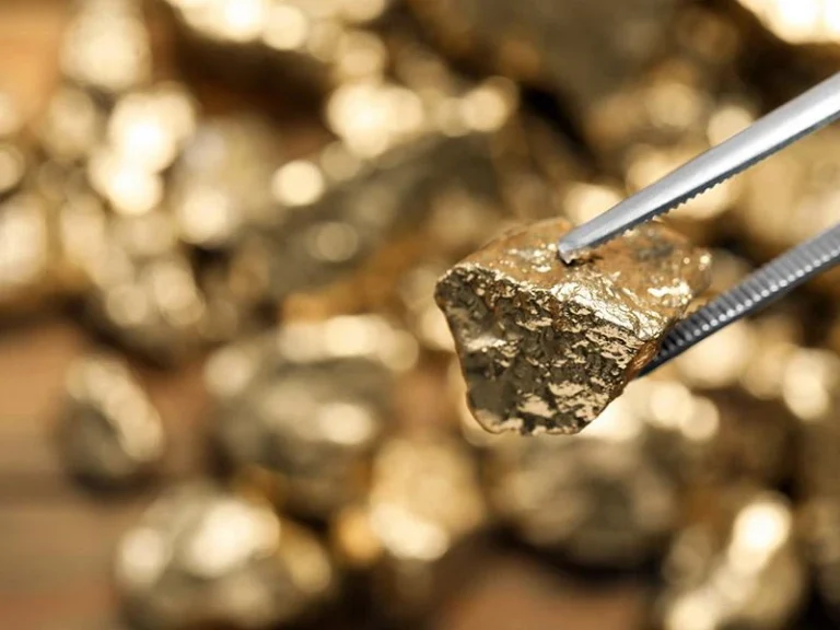 Самородок золота с Чукотки — перспективное месторождение для инвесторов в рамках Арктической зоны и ТОР «Чукотка»