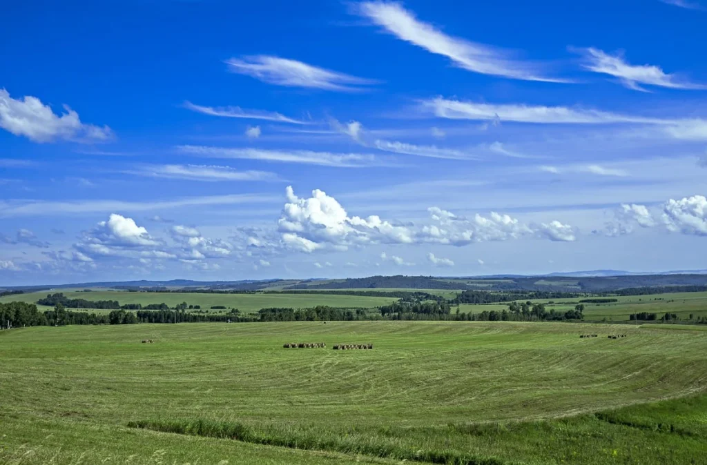 Полевой ландшафт, анализируемый нейросетью ГУАП с беспилотника в реальном времени для создания 3D-карты местности