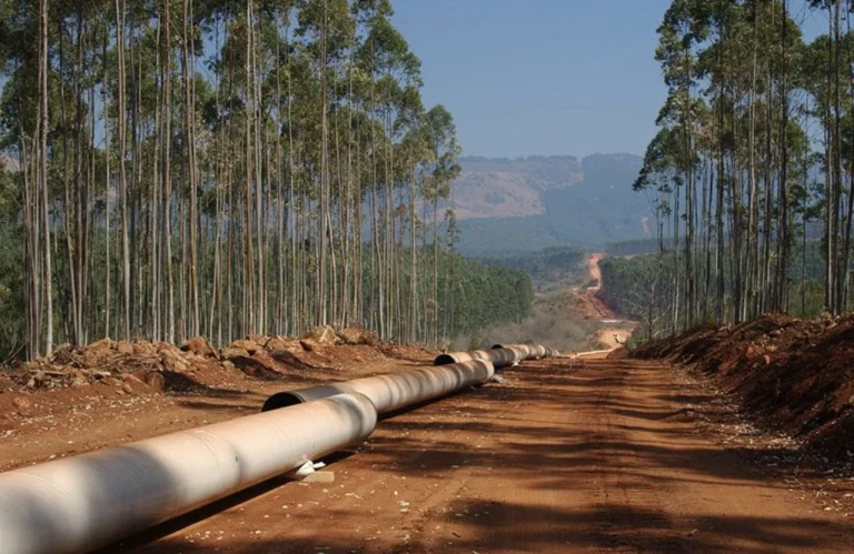 Строительство нефтепровода в лесистой местности в рамках совместного энергетического проекта России и Конго