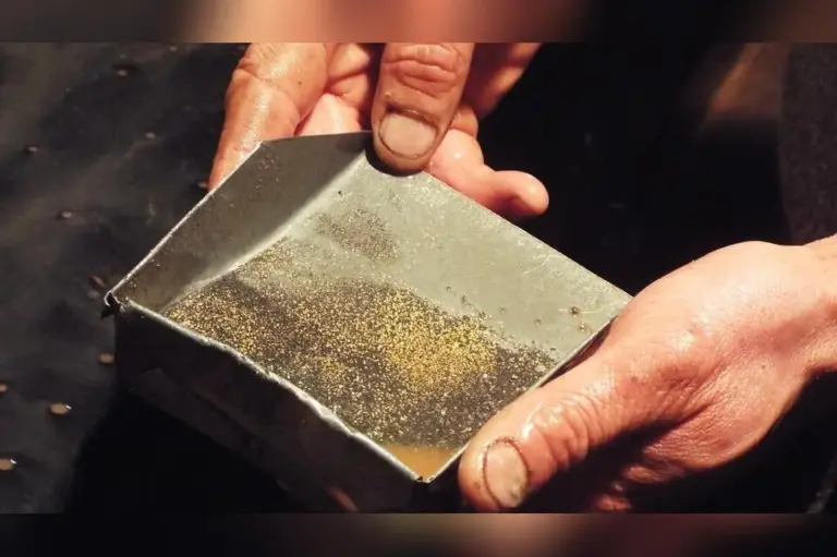 Россыпное золото в руках старателя — причина загрязнения рек и исчезновения рыбы в Забайкалье.