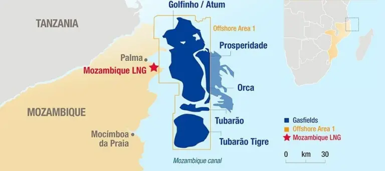 Карта газовых месторождений Мозамбика и проекта Mozambique LNG, в разработке которых могут участвовать российские компании.