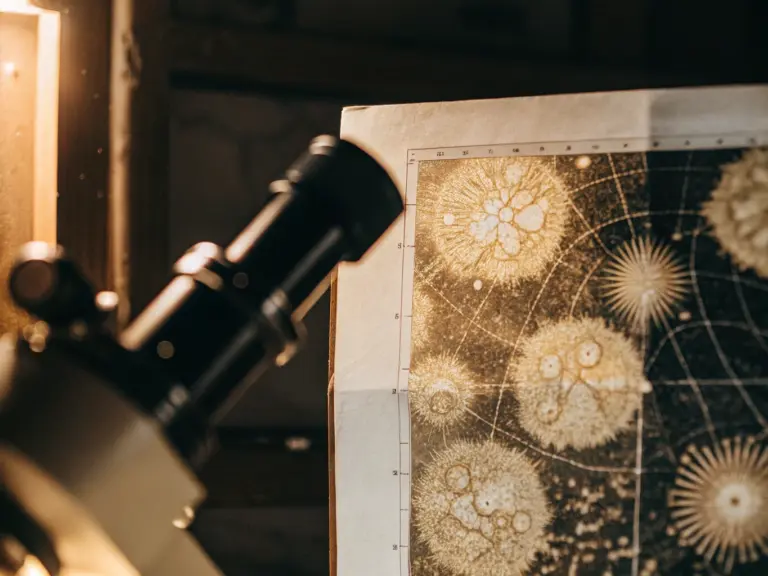 Образцы уникального нанозолота с месторождения «Пионер» в Приамурье, обнаруженные учеными ДВО РАН под микроскопом.