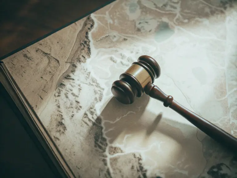 Спутниковые снимки официально станут доказательством экологических нарушений в судах