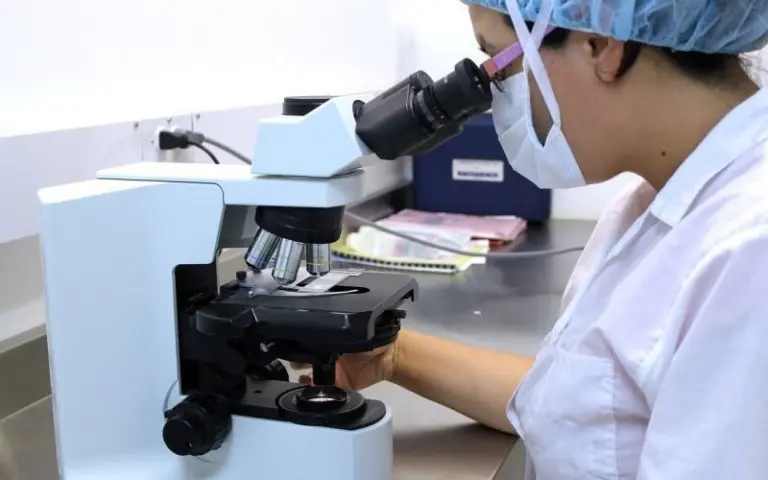 Аутигенное золото в Западном Саяне: сибирские ученые исследуют уникальные металлические формы в речных отложениях с помощью электронной микроскопии, раскрывая новые механизмы образования и прогнозируя добычу.