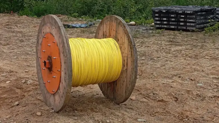 photo 2025 08 16 14 10 24