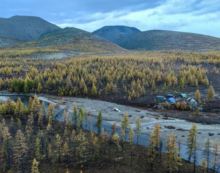 Поиск новых мест рождения вольфрама в Усть-Янском районе Якутии, геологоразведка Росгеологии, современная аэросъемка и оценка запасов руды 2025
