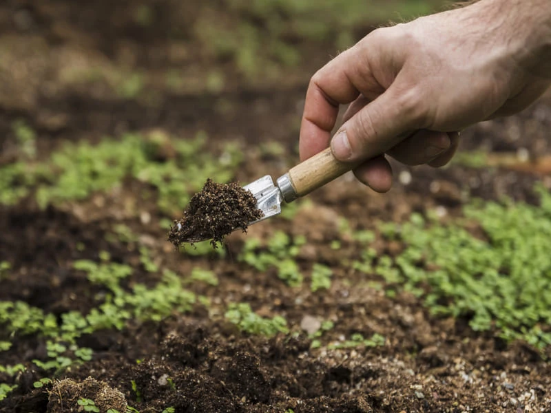 ММК рекультивация карьеров Магнитной горы, восстановление земель, озеленение отработанных месторождений
