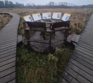 Природа и инфраструктура нового геопарка Саблинские водопады в Ленинградской области