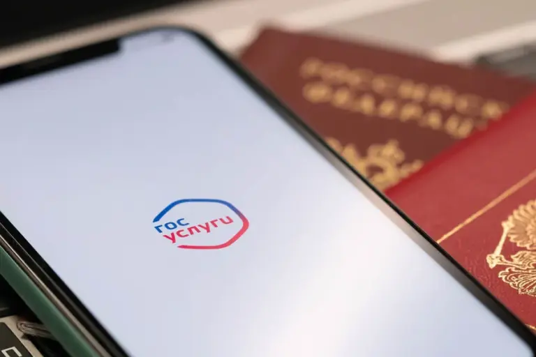 Новый раздел портала Госуслуг для недропользователей