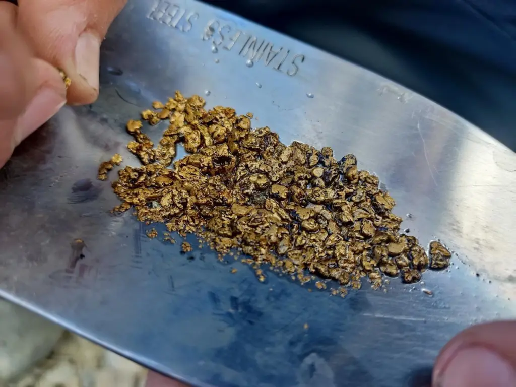 Обсуждение нового Горного кодекса для упрощения золотодобычи в России