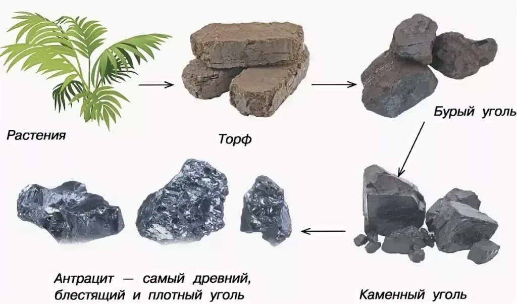 виды угля