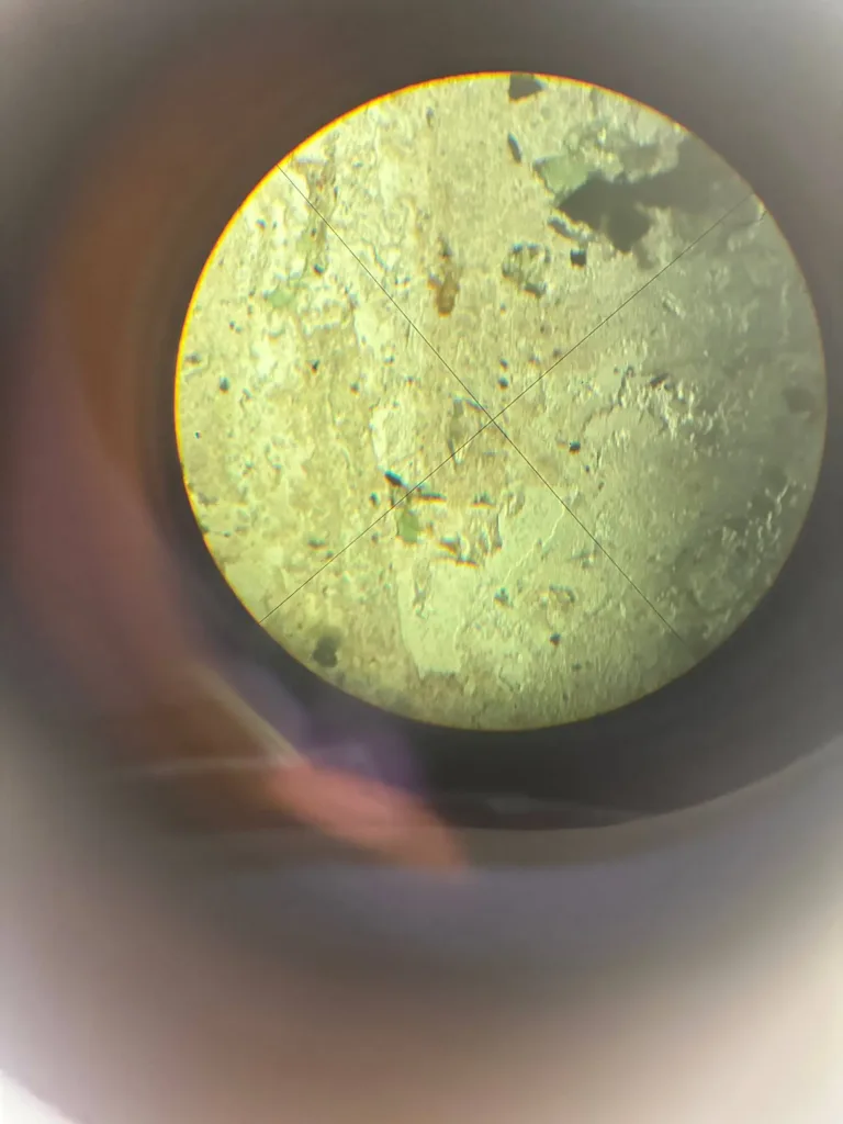 photo 2026 07 03 18.23.18