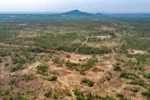Результаты бурения Fortuna Mining на золотом проекте Diamba Sud в Сенегале с высокими содержаниями и планами запуска добычи в 2028 году