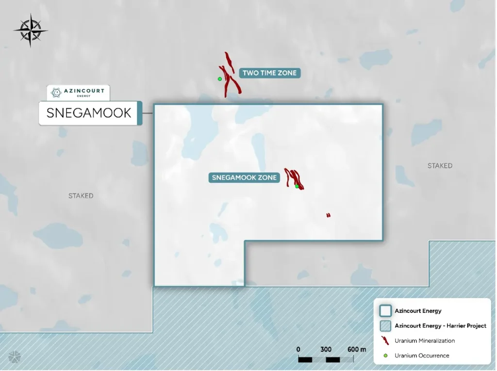 Результаты первых скважин Azincourt Energy на урановом месторождении Snegamook в Лабрадоре с радиоактивными зонами