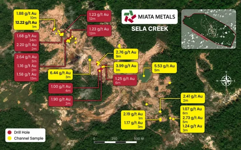Соглашение Critical Resources о приобретении 90 процентов золотого проекта Gadu Manda в Суринаме рядом с рудником Rosebel